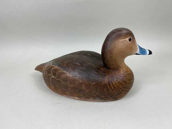 Torry Ward Redhead Hen (#6896)