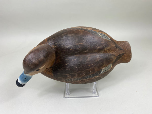 Torry Ward Redhead Hen (#6896)