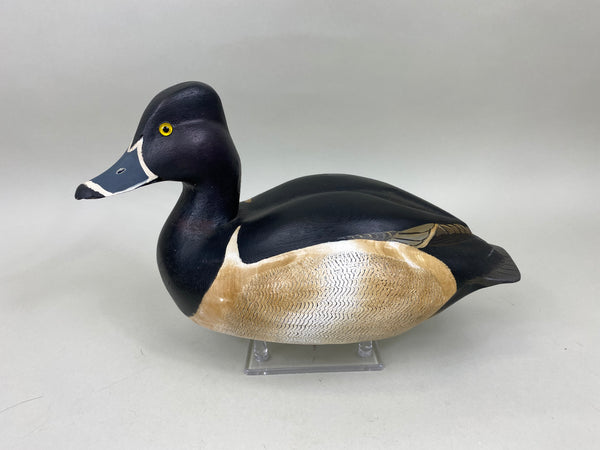 Torry Ward Ringbill Drake (#6897)