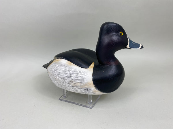 Torry Ward Ringbill Drake (#6897)