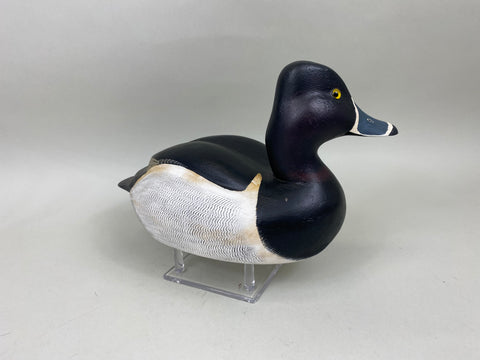 Torry Ward Ringbill Drake (#6897)