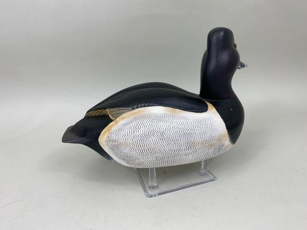 Torry Ward Ringbill Drake (#6897)