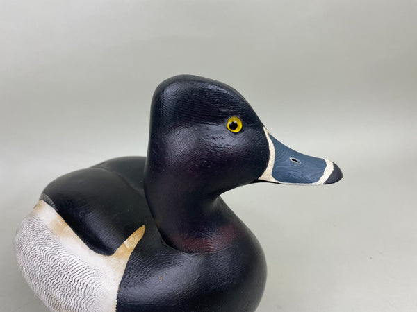 Torry Ward Ringbill Drake (#6897)