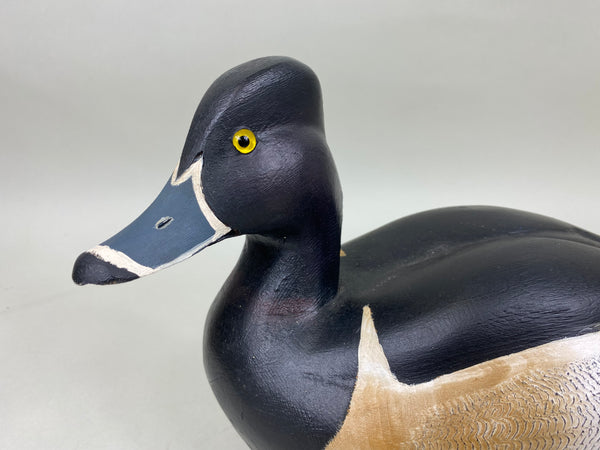 Torry Ward Ringbill Drake (#6897)