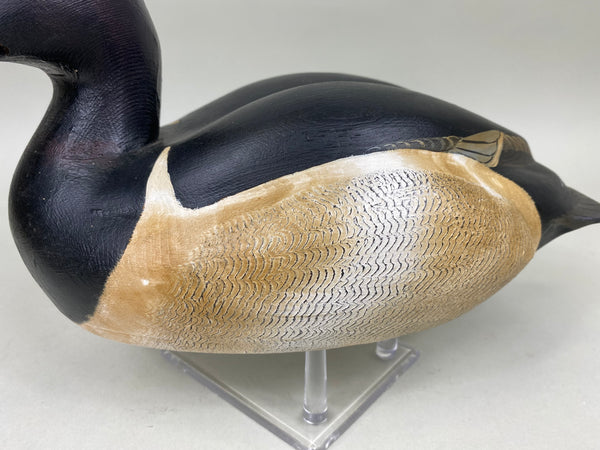 Torry Ward Ringbill Drake (#6897)