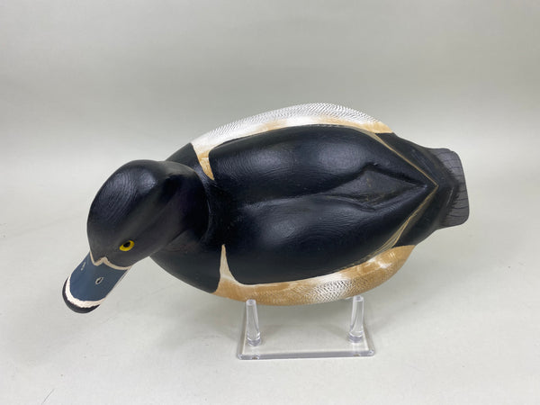 Torry Ward Ringbill Drake (#6897)