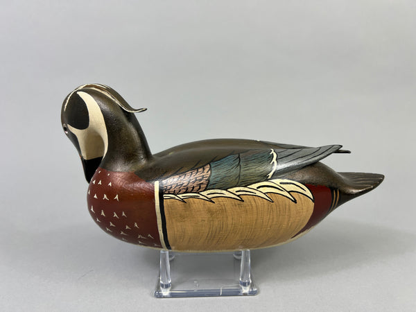 Virgil Hodge Wood Duck Raised Wings (#2909)
