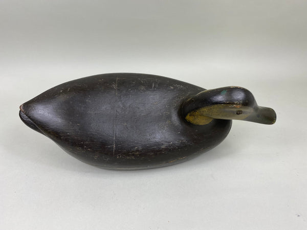 Unknown Michigan Hollow Blackduck with Keel (#6916)