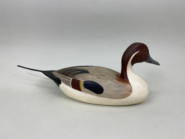 Ken Weeks Pintail Drake (#6946)