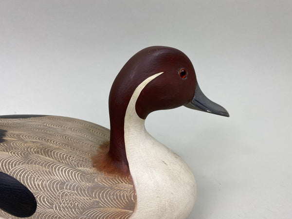 Ken Weeks Pintail Drake (#6946)