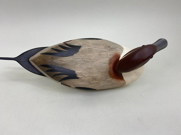 Ken Weeks Pintail Drake (#6946)