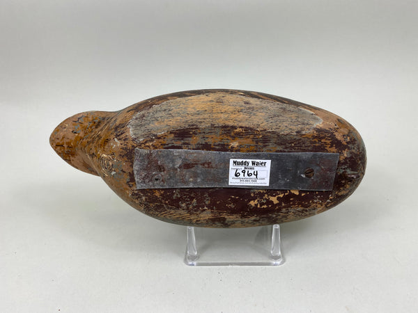 Frank Cassini Mallard Hen (#6964)