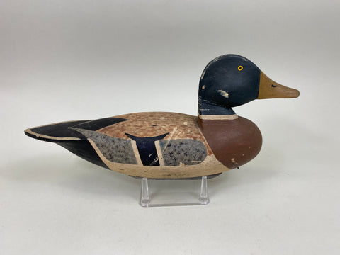 Walt Bloompot Mallard Drake, Circa 1930's, (#6968)