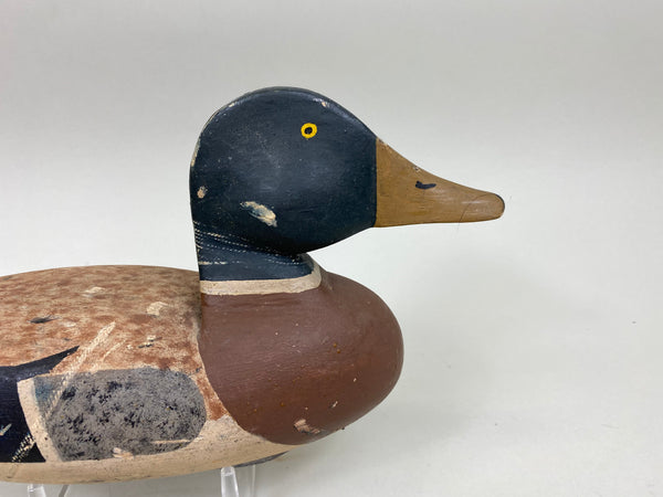 Walt Bloompot Mallard Drake, Circa 1930's, (#6968)