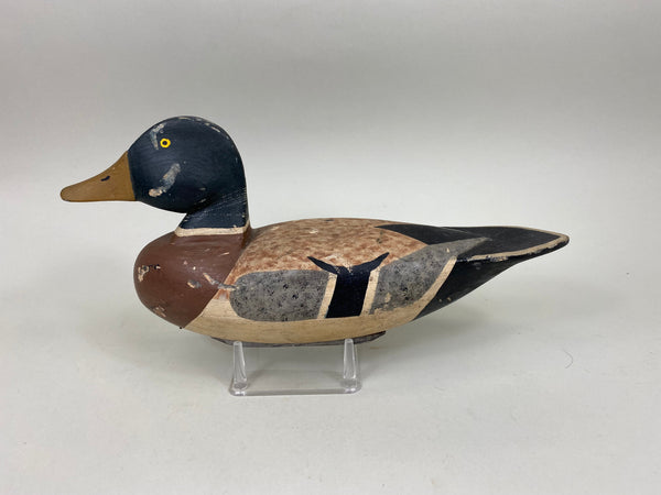 Walt Bloompot Mallard Drake, Circa 1930's, (#6968)