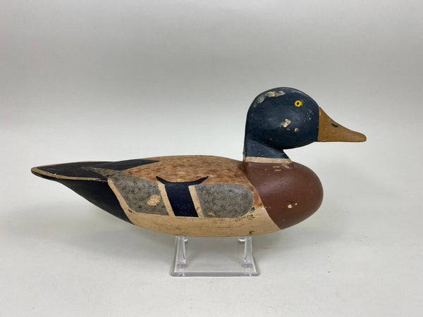 Walter Bloompot Mallard, Circa 1930's (#6969)