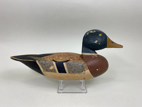 Walter Bloompot Mallard, Circa 1930's (#6969)