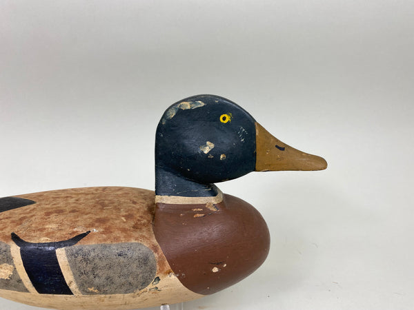 Walter Bloompot Mallard, Circa 1930's (#6969)