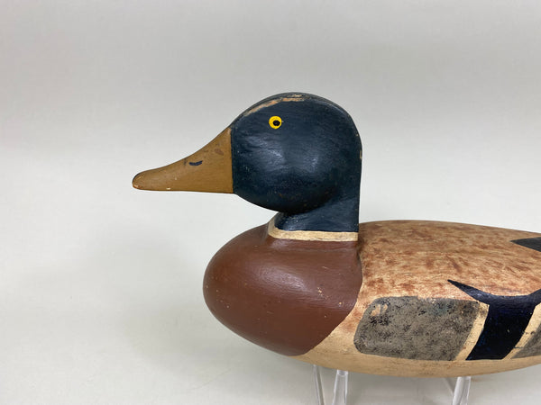 Walter Bloompot Mallard, Circa 1930's (#6969)