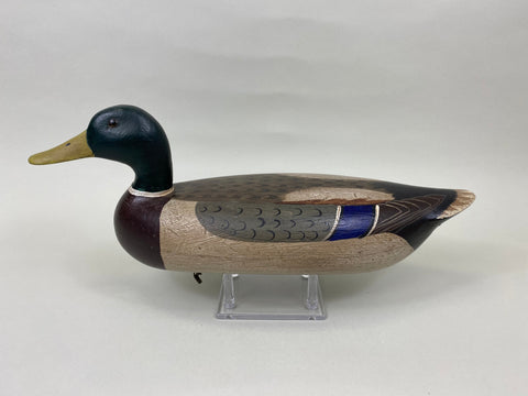 Charles Schoenheider Sr. Mallard Drake (#6997)