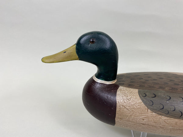 Charles Schoenheider Sr. Mallard Drake (#6997)