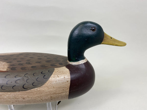 Charles Schoenheider Sr. Mallard Drake (#6997)