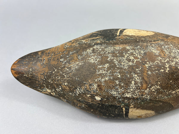 Tule Lake Attributed Wigeon Drake (4894)