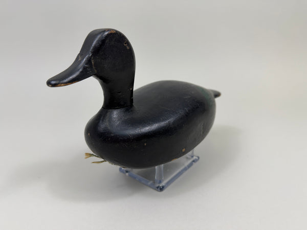 Michigan Area Blue-Wing Teal, Circa 1930's (#4410)