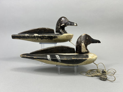 Folky Pair of Unknown Wisconsin Pintails (#3944)