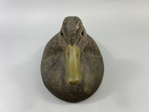 Michigan Black Duck Schmidt influence (#4771)