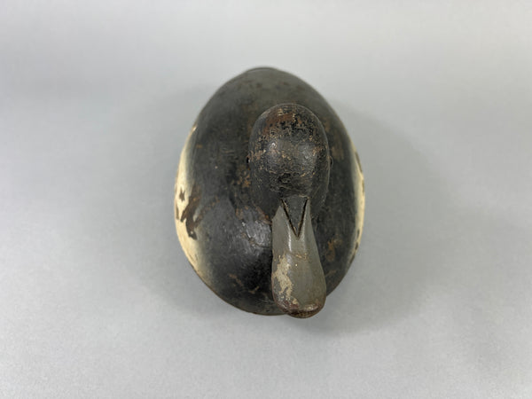 Quillen Style Bluebill (#3937)