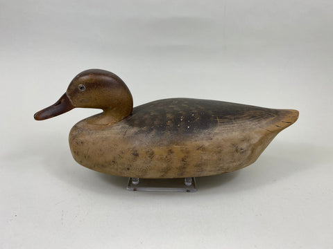 Wildfowler Mallard Hen, Old Saybrook, Original Paint (#7008)