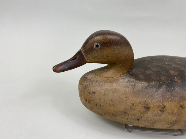 Wildfowler Mallard Hen, Old Saybrook, Original Paint (#7008)