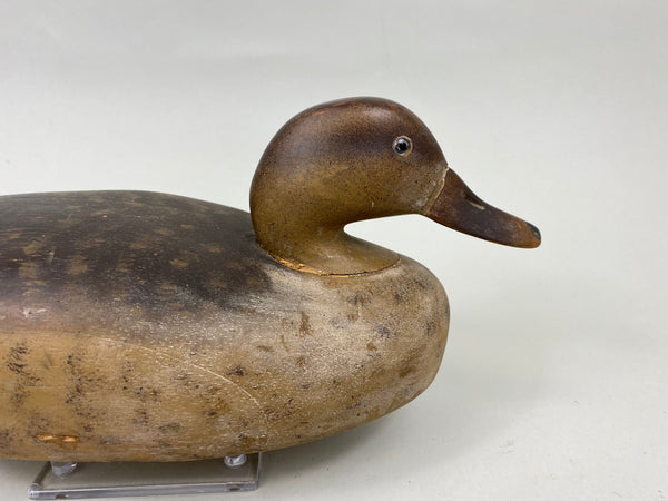 Wildfowler Mallard Hen, Old Saybrook, Original Paint (#7008)
