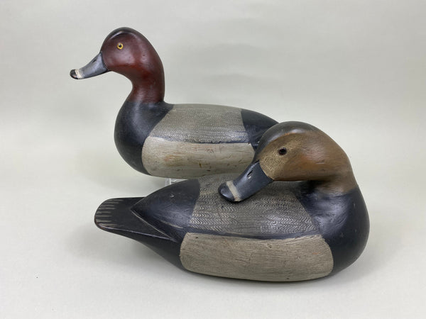 Mike Borrett Redhead Pair (#7011)