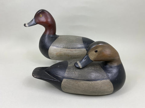 Mike Borrett Redhead Pair (#7011)