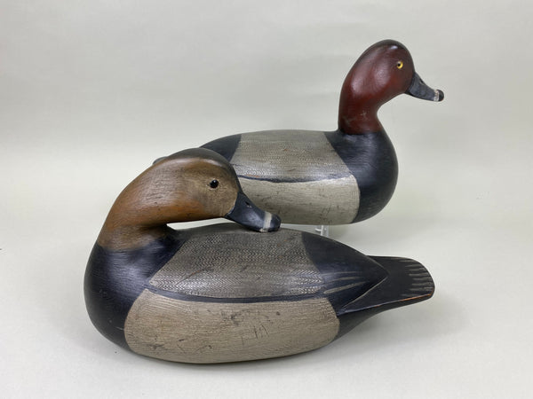 Mike Borrett Redhead Pair (#7011)