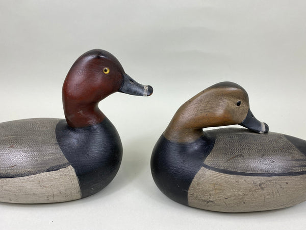Mike Borrett Redhead Pair (#7011)
