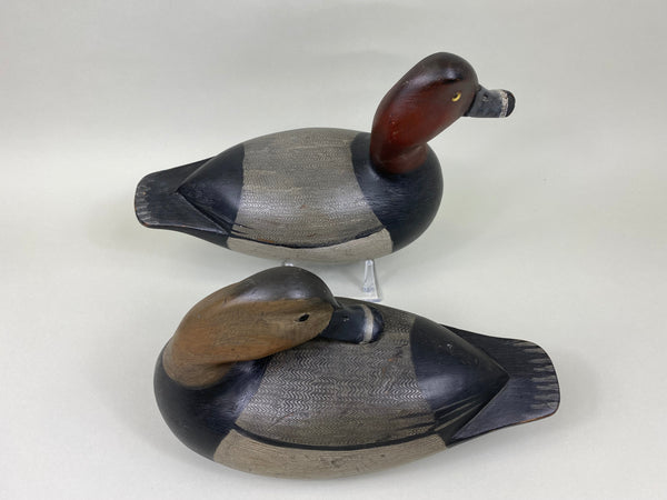 Mike Borrett Redhead Pair (#7011)