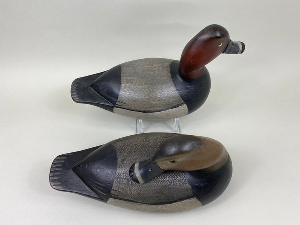 Mike Borrett Redhead Pair (#7011)