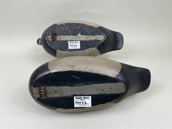 Mike Borrett Redhead Pair (#7011)