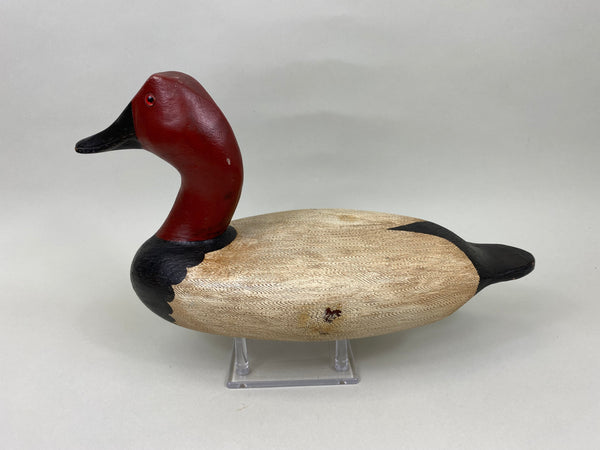 Pat Gregory Canvasback Drake (#7020)