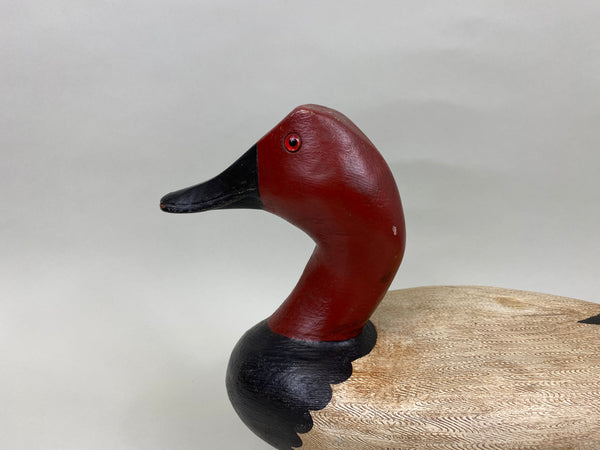Pat Gregory Canvasback Drake (#7020)