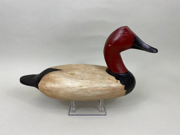 Pat Gregory Canvasback Drake (#7020)