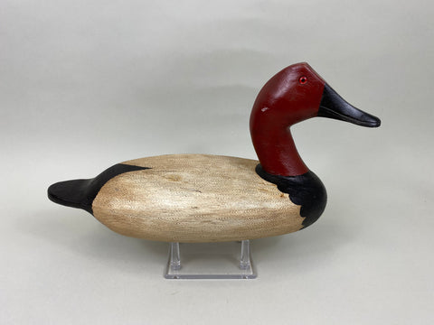 Pat Gregory Canvasback Drake (#7020)