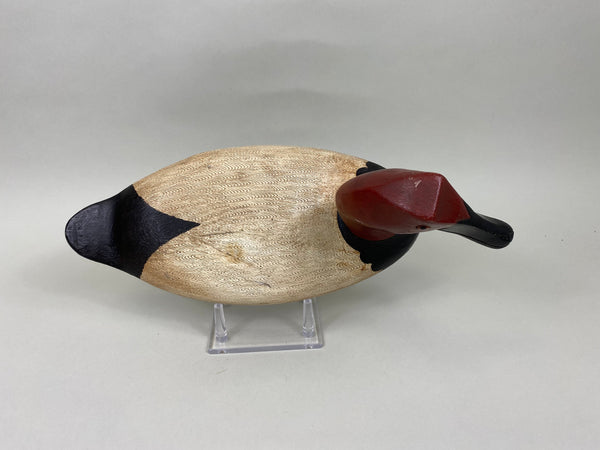 Pat Gregory Canvasback Drake (#7020)