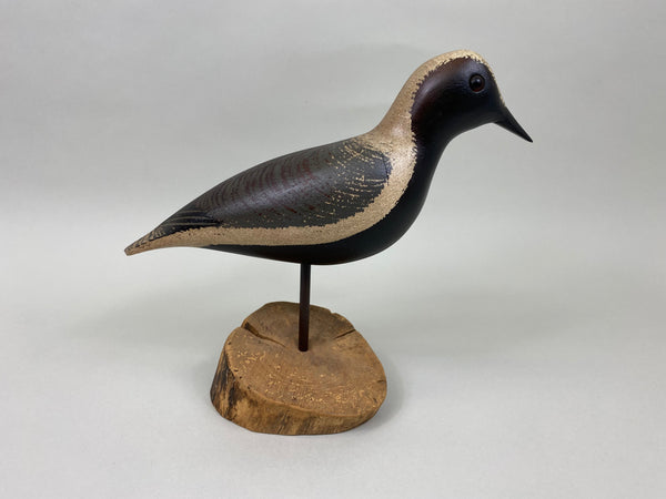 T. J. Hooker Blackbelly Plover (#7035)