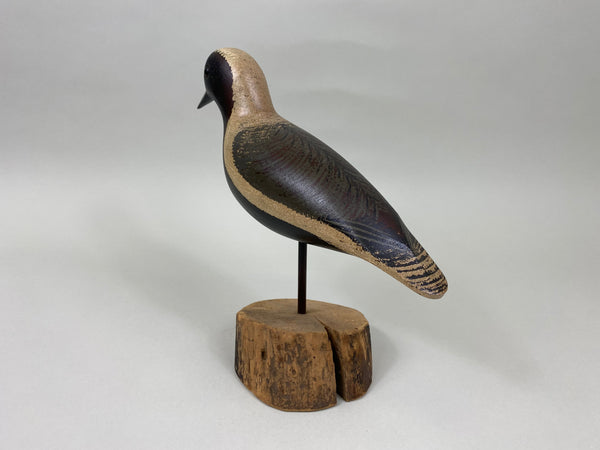 T. J. Hooker Blackbelly Plover (#7035)