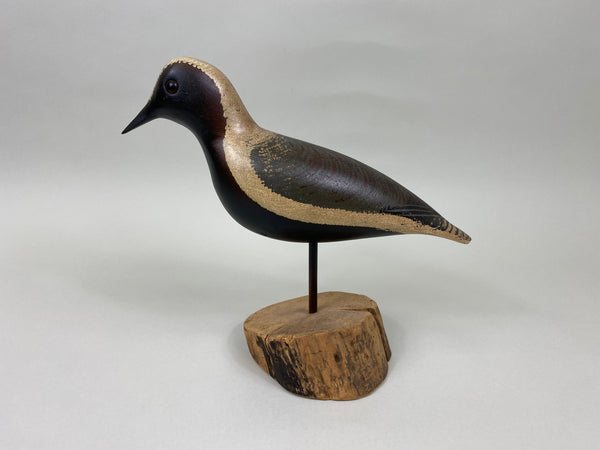 T. J. Hooker Blackbelly Plover (#7035)