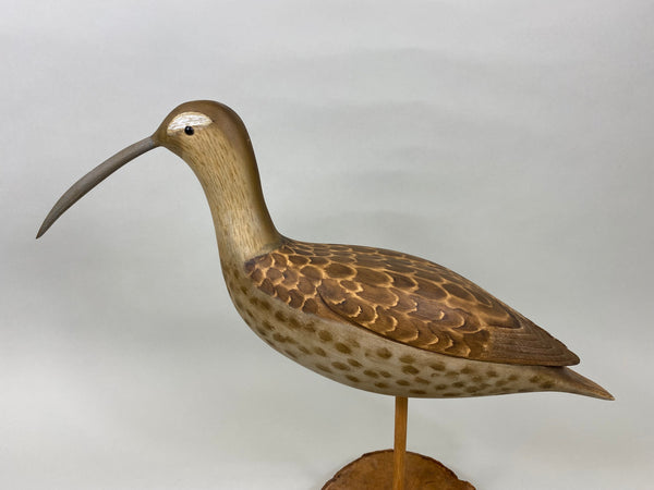 Fred Destri Curlew, Signed (#7038)